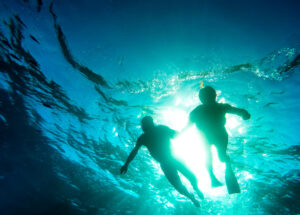 IMAGEN_BUCEO_INTERNA_2 IMAGEN_BUCEO_INTERNA_2