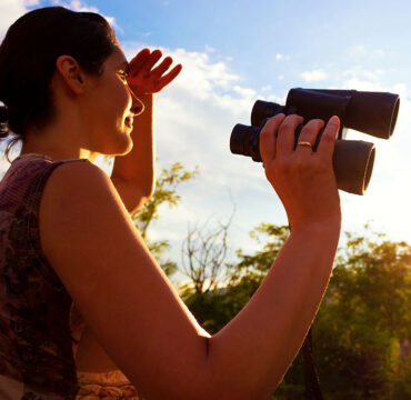 IMGEN_BIRD-WATCHING_INTERNA_1