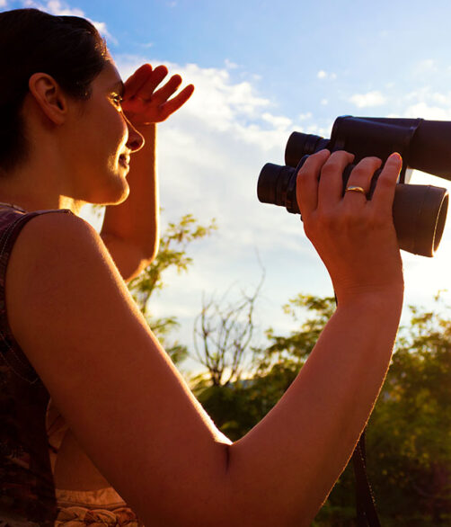 IMGEN_BIRD-WATCHING_INTERNA_1