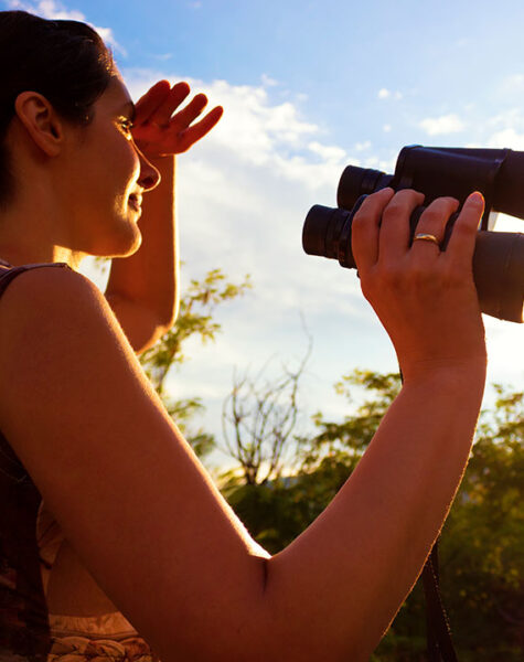 IMGEN_BIRD-WATCHING_INTERNA_1