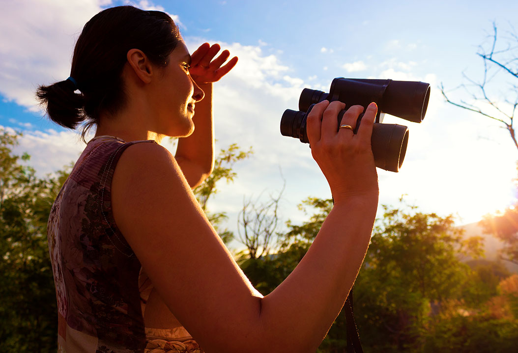 IMGEN_BIRD-WATCHING_INTERNA_1