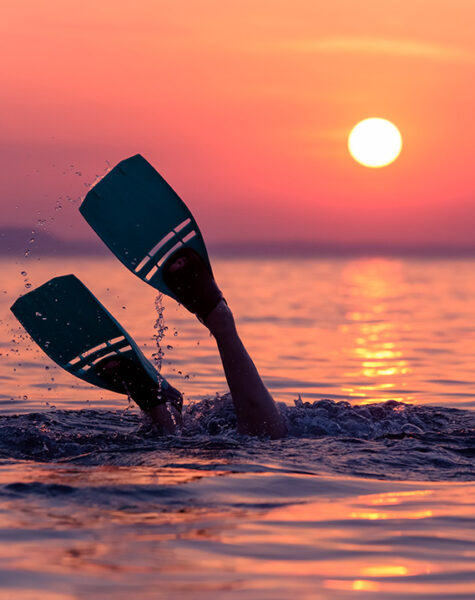 IMGEN_BUCEO_INTERNA_1