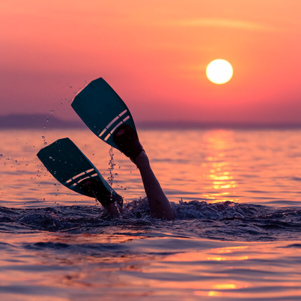 IMGEN_BUCEO_INTERNA_1